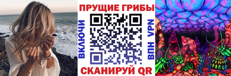 Галлюциногенные грибы Magic Shrooms наркошоп Ахтубинск